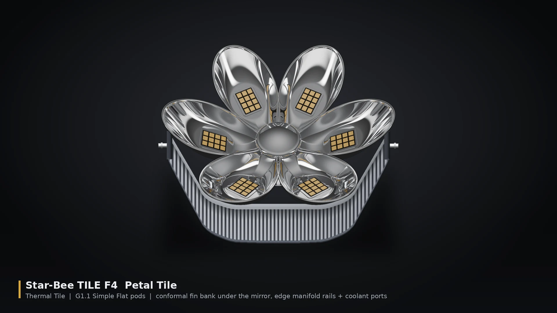 Star Daisy — with radiator