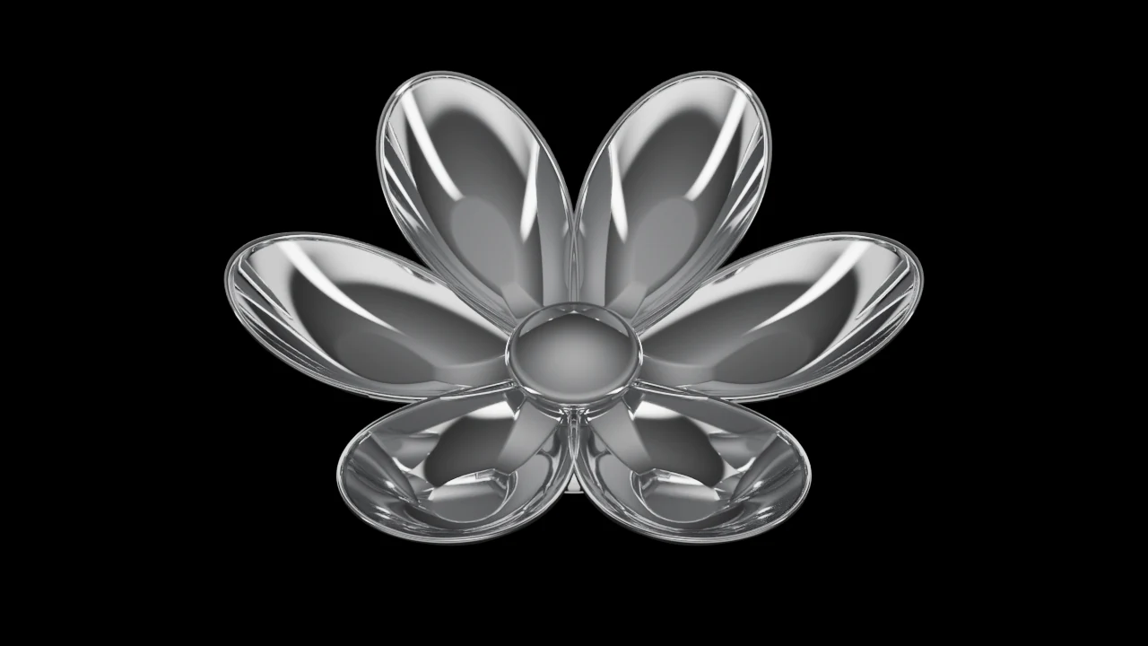 Star Daisy